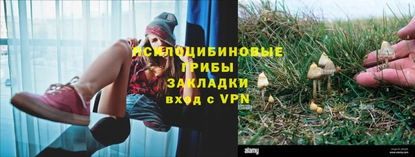 ПСИЛОЦИБИНОВЫЕ ГРИБЫ Каменногорск