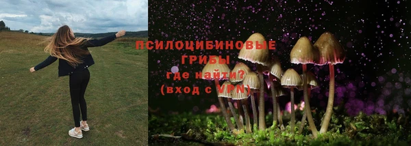 героин Инсар
