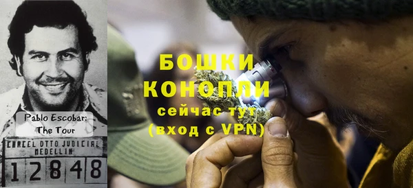 ПСИЛОЦИБИНОВЫЕ ГРИБЫ Каменногорск